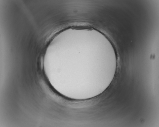 X0000113850013200910221429