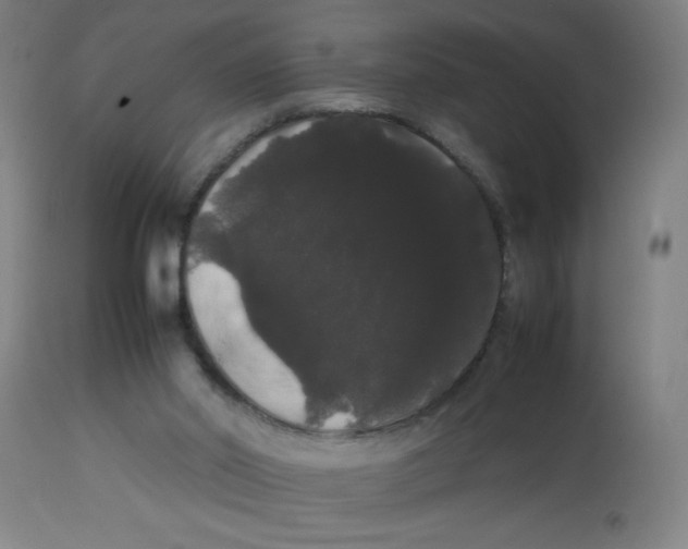 X0000113850014200910221429