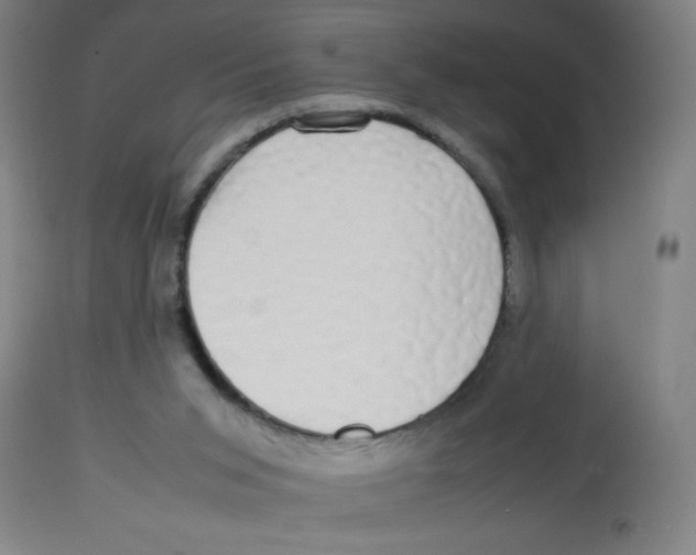 X0000113850015200910221429