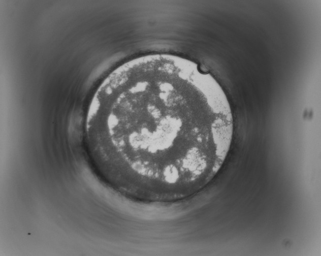 X0000113850016200910221429