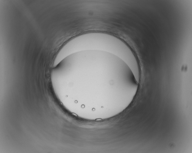 X0000113850017200910221429