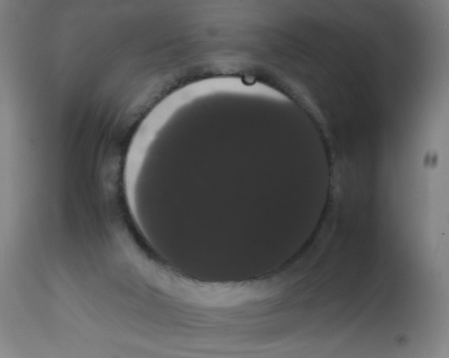 X0000113850018200910221429