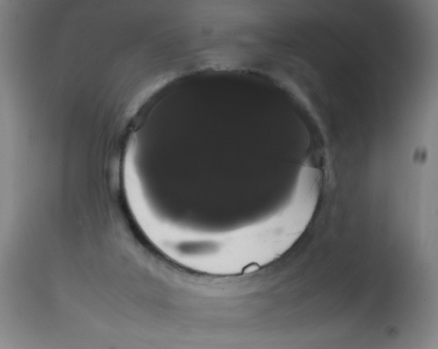 X0000113850019200910221429