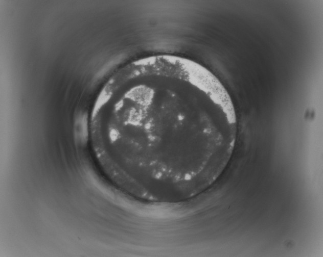 X0000113850020200910221429