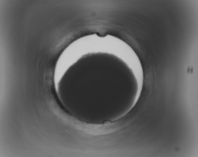 X0000113850023200910221429