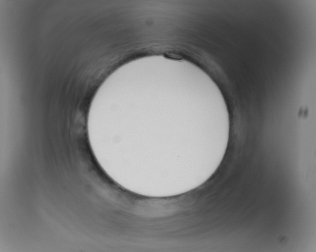 X0000113850025200910221429