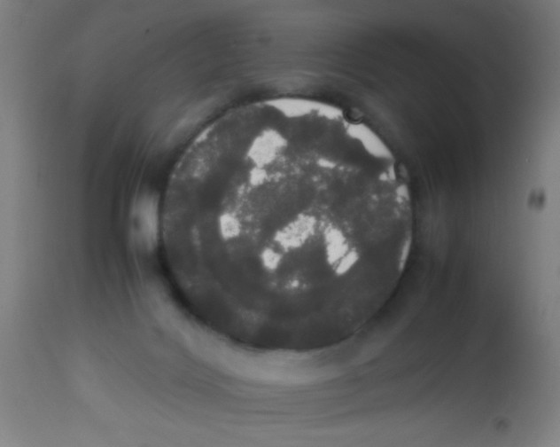 X0000113850028200910221429