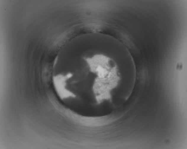 X0000113850030200910221429