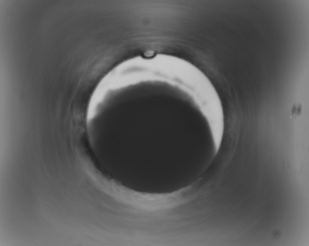 X0000113850031200910221429