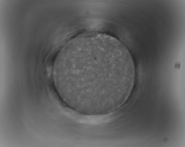 X0000113850033200910221429