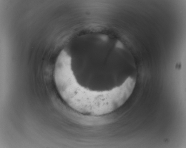 X0000113850034200910221429