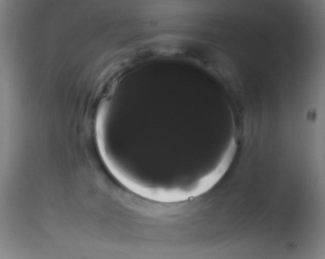 X0000113850035200910221429