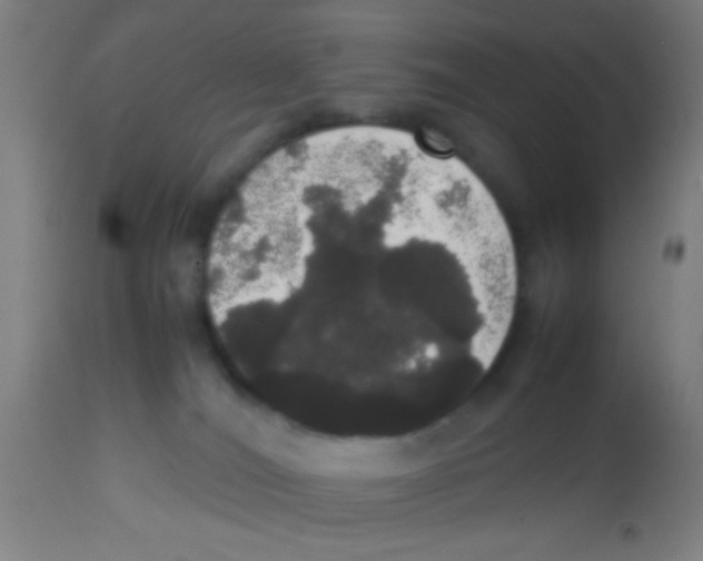 X0000113850036200910221429