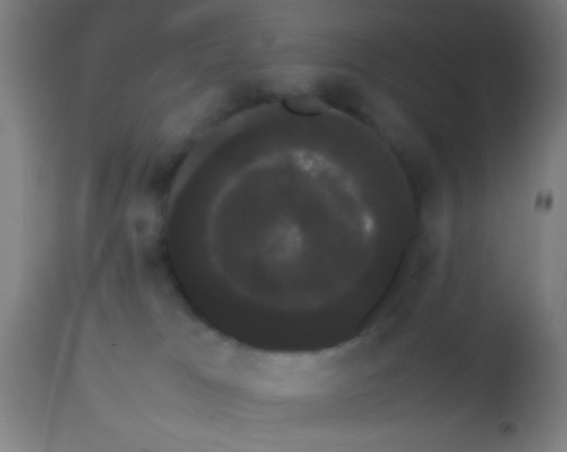 X0000113850037200910221429