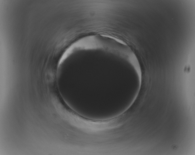 X0000113850039200910221428