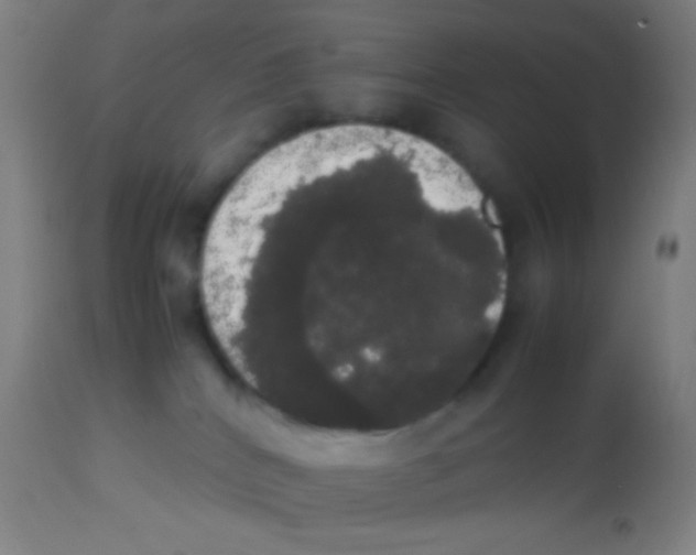 X0000113850040200910221428