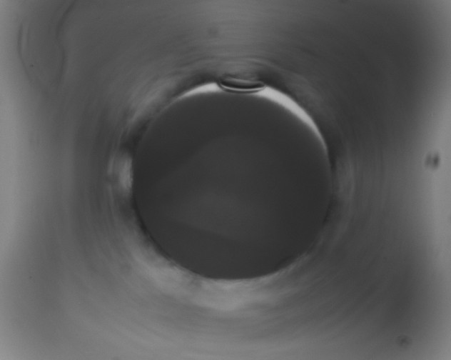 X0000113850041200910221428