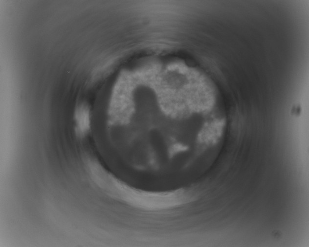 X0000113850042200910221428