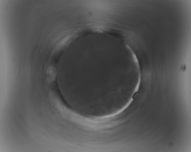 X0000113850043200910221428