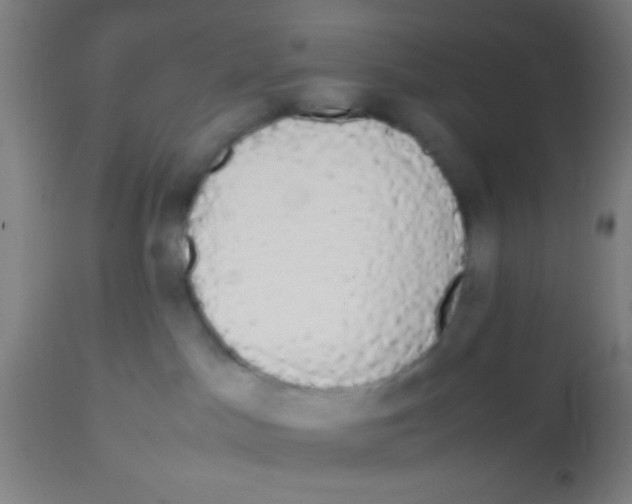 X0000113850045200910221428