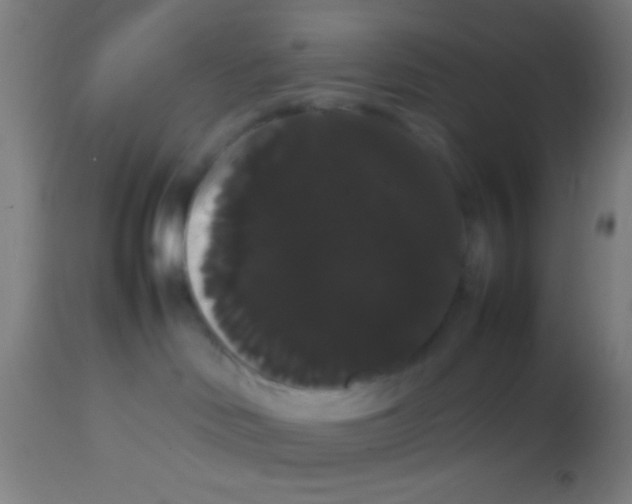 X0000113850046200910221428