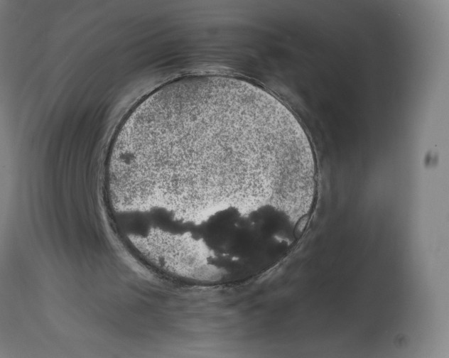 X0000113850049200910221428