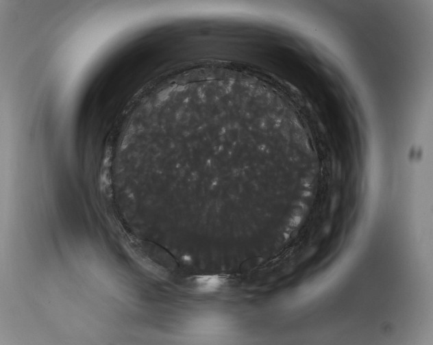 X0000113850050200910221428