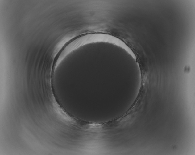 X0000113850052200910221428