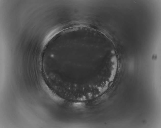 X0000113850053200910221428