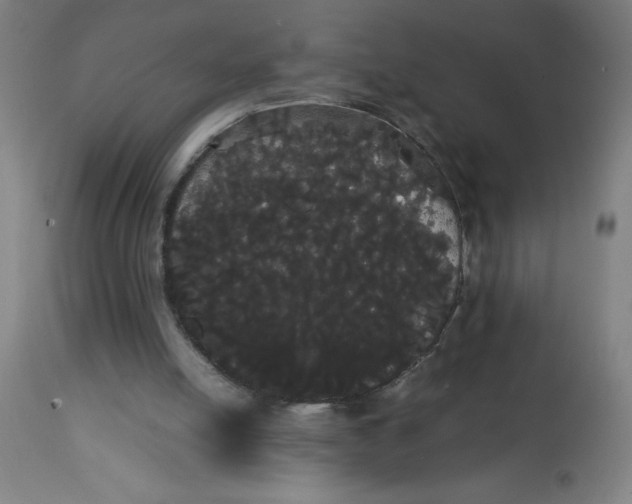 X0000113850054200910221428