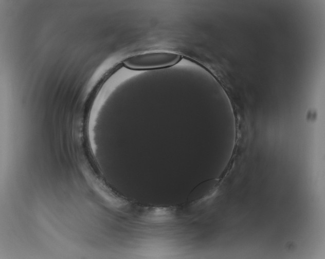 X0000113850056200910221428