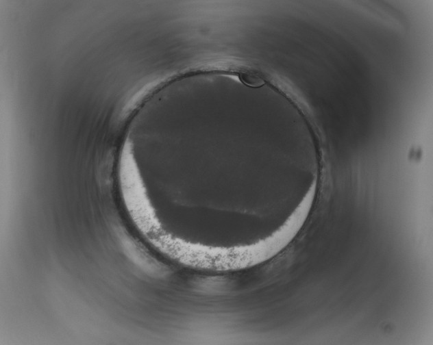 X0000113850058200910221428