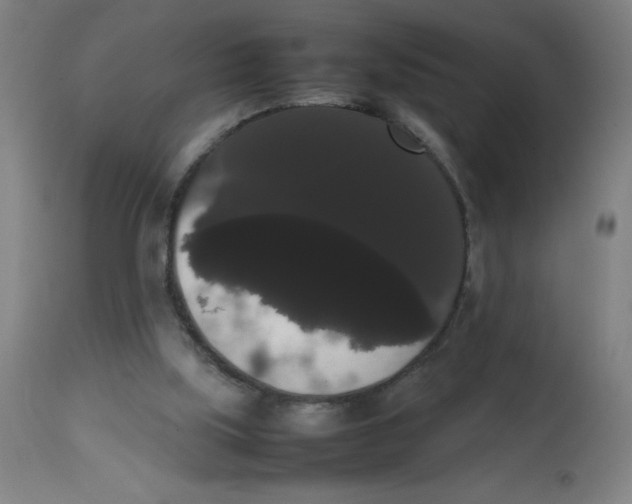 X0000113850059200910221428