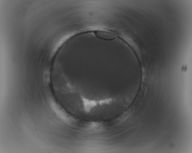 X0000113850060200910221428