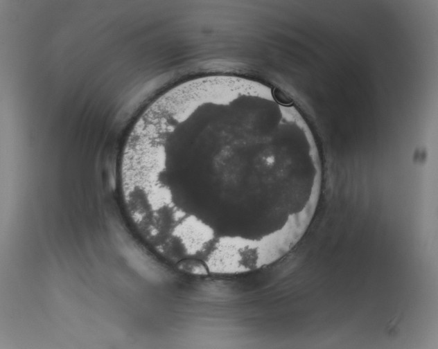 X0000113850062200910221428