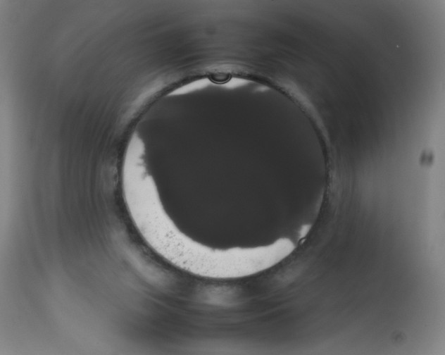 X0000113850063200910221428