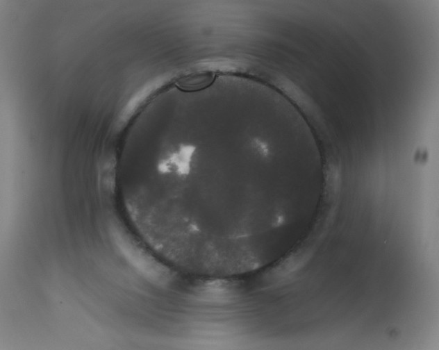 X0000113850064200910221428