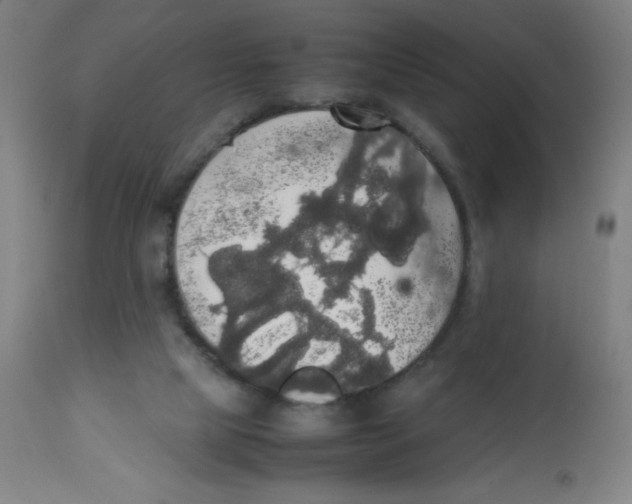 X0000113850065200910221428