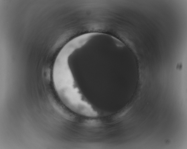 X0000113850067200910221428