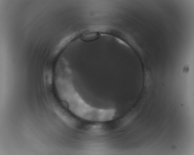 X0000113850068200910221428