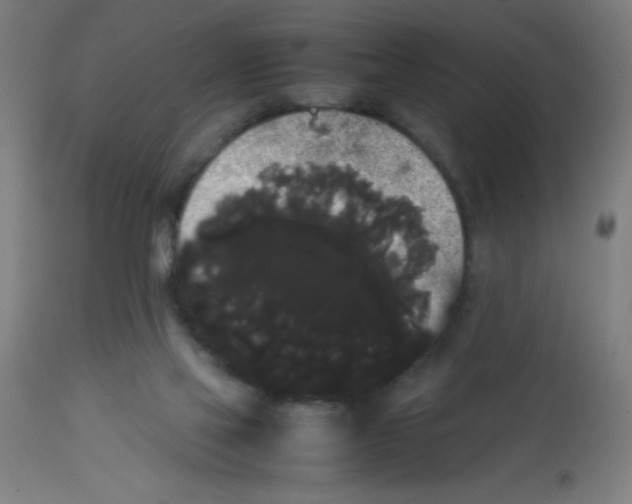 X0000113850069200910221428