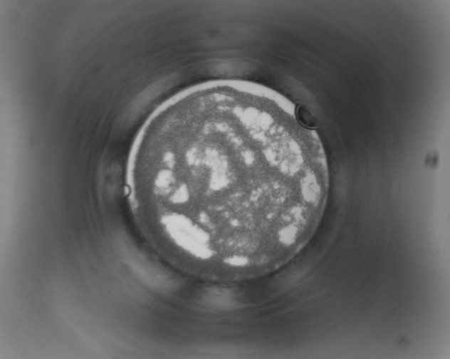 X0000113850071200910221428