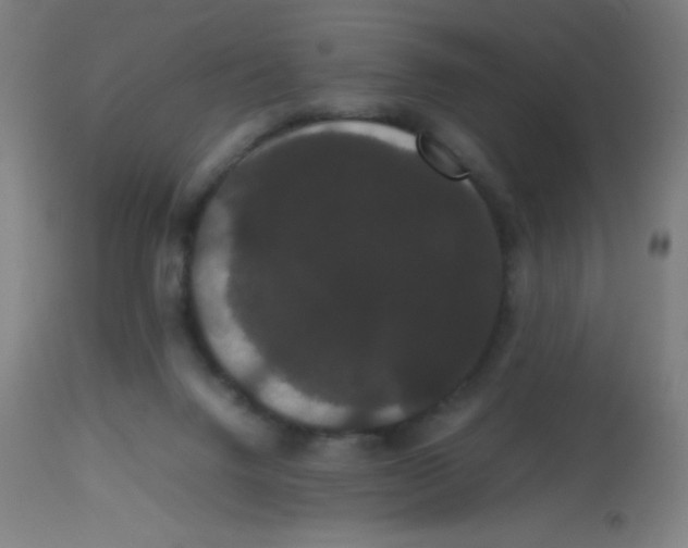 X0000113850072200910221428