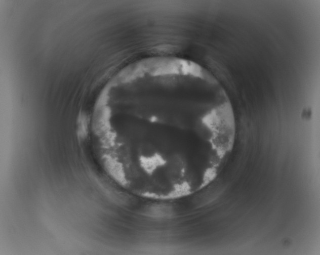 X0000113850075200910221428