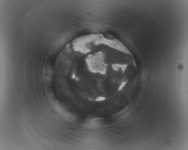 X0000113850078200910221428