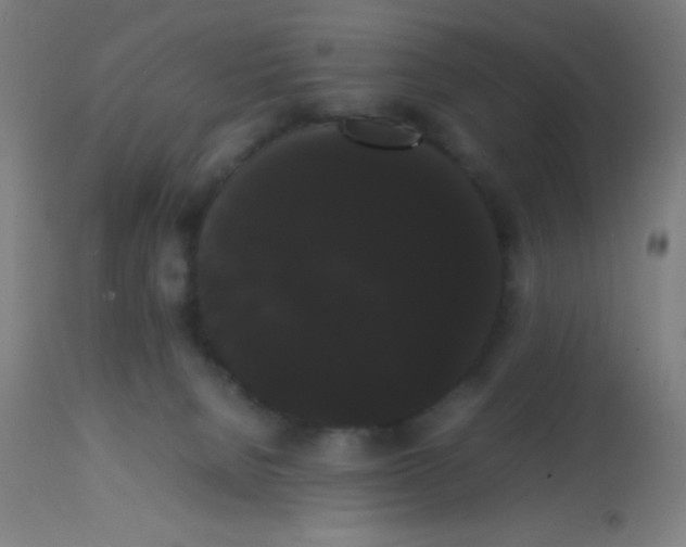 X0000113850080200910221428