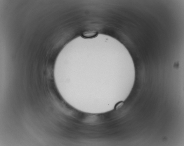 X0000113850083200910221428