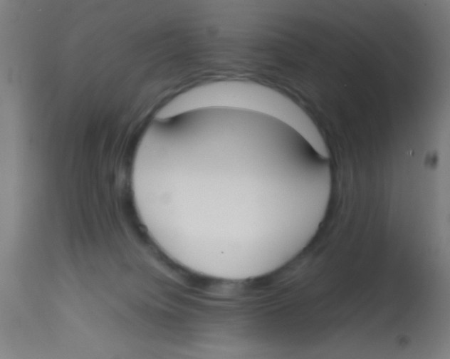 X0000113850084200910221428