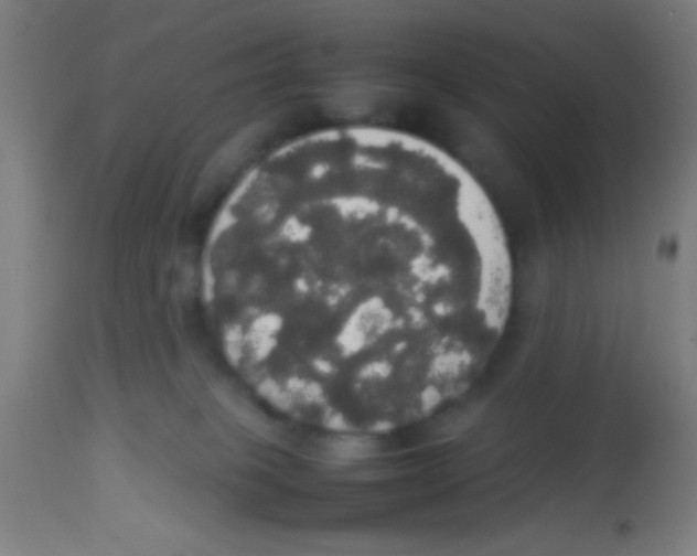 X0000113850085200910221428