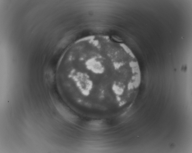 X0000113850086200910221428